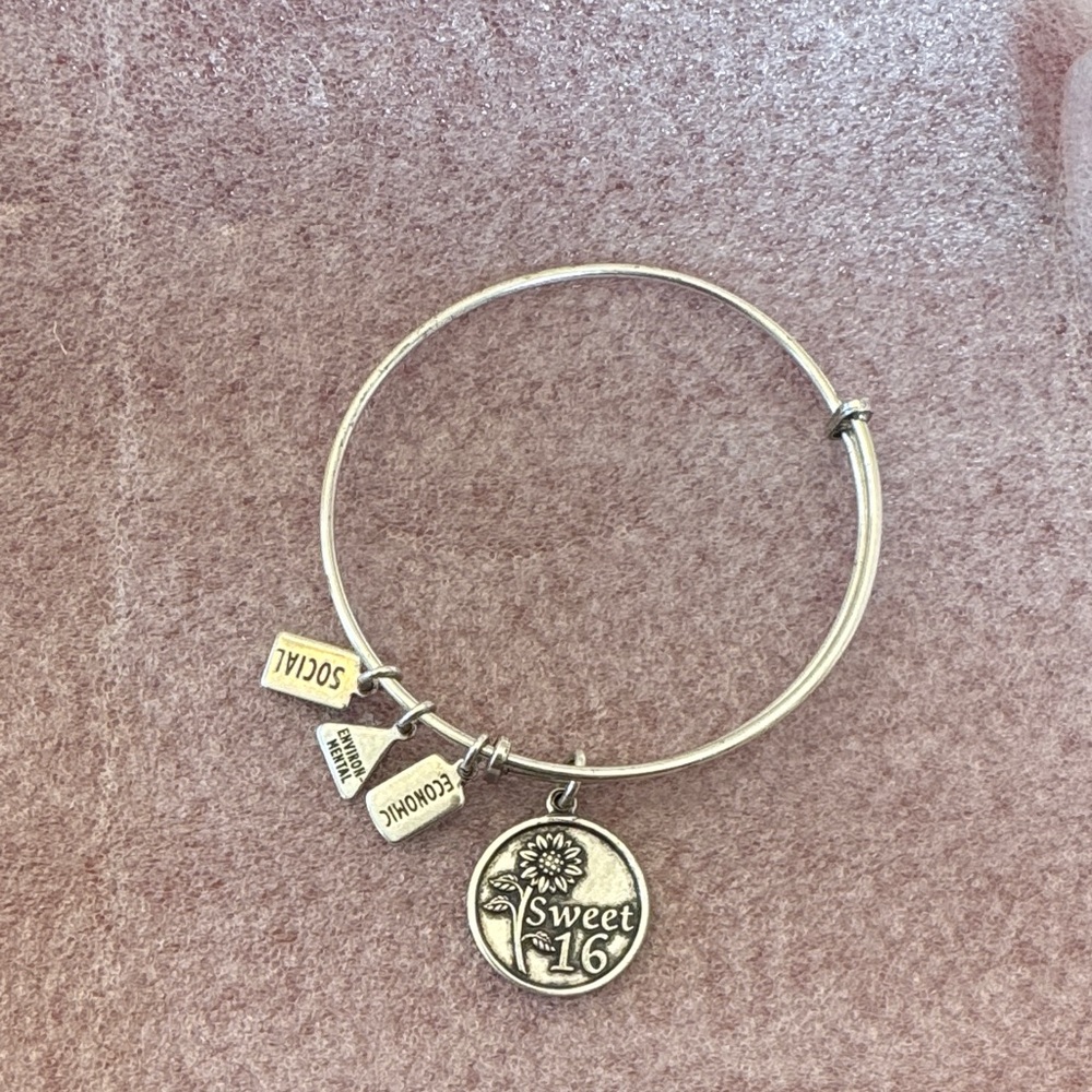 Alex and Ani Silver Charm Bracelet